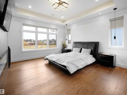 Bedroom with hardwood / wood-style floors, a tray ceiling, and recessed lighting - 