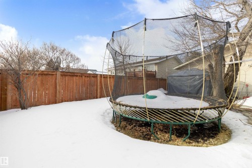 Fenced backyard with a trampoline - 4423 18 Avenue, Edmonton, AB - Outdoor