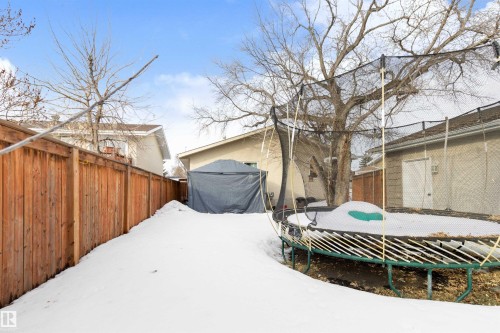 Fenced backyard with a trampoline - 4423 18 Avenue, Edmonton, AB - Outdoor