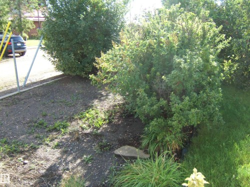 View of yard - 4807 54 Avenue, Two Hills, AB - Outdoor