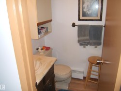 Bathroom featuring vanity, wood finished floors, and a baseboard radiator - 