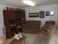 Living room with a textured ceiling and carpet floors - 