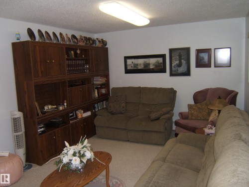 Living room with a textured ceiling and carpet floors - 4807 54 Avenue, Two Hills, AB - Indoor Photo Showing Living Room