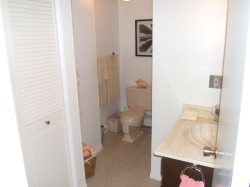 Bathroom featuring vanity, baseboard heating, and a closet - 
