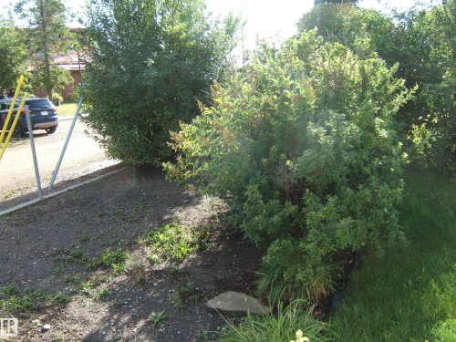 View of road - 4807 54 Avenue, Two Hills, AB - Outdoor