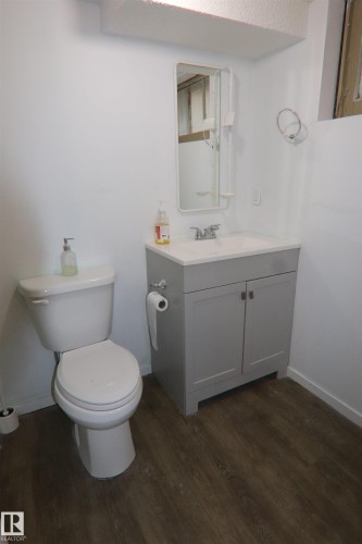 11161 67 Street, Edmonton, AB - Indoor Photo Showing Bathroom