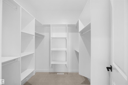 Walk in closet with light colored carpet - 6228 29 Avenue, Edmonton, AB - Indoor With Storage