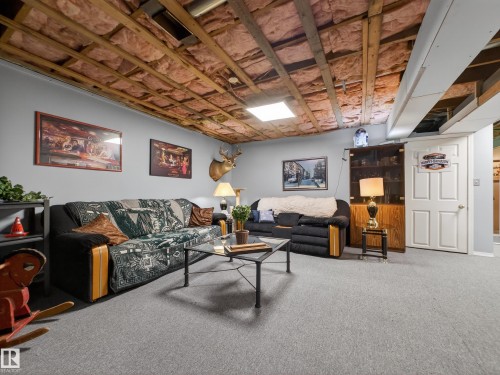 16050 95 Avenue, Edmonton, AB - Indoor Photo Showing Basement