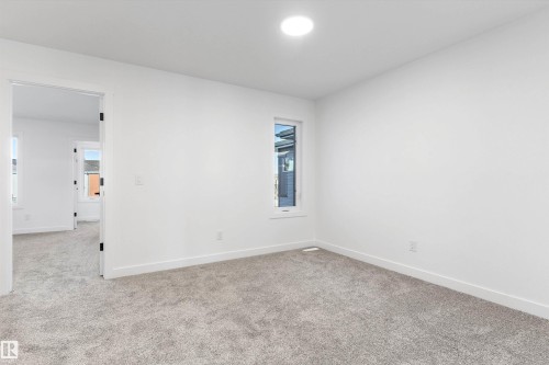 19107 20 Avenue, Edmonton, AB - Indoor Photo Showing Other Room