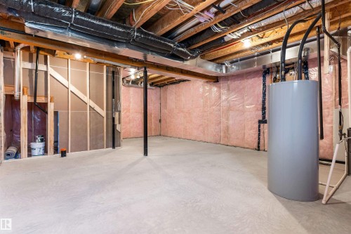 19107 20 Avenue, Edmonton, AB - Indoor Photo Showing Basement