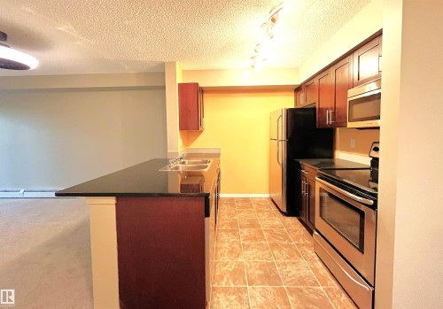 203 5390 Chappelle Road Sw, Edmonton, AB - Indoor Photo Showing Kitchen With Double Sink