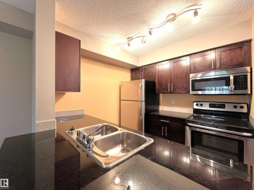 203 5390 Chappelle Road Sw, Edmonton, AB - Indoor Photo Showing Kitchen With Double Sink