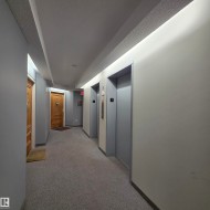 Hall featuring elevator and carpet flooring - 