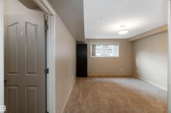 Empty room with carpet and baseboards - 