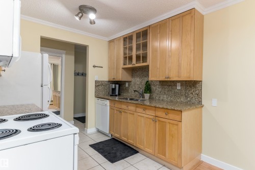 102 9925 83 Avenue, Edmonton, AB - Indoor Photo Showing Kitchen With Double Sink