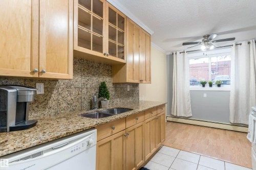 102 9925 83 Avenue, Edmonton, AB - Indoor Photo Showing Kitchen With Double Sink