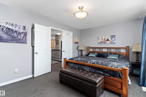 1325 Adamson Drive, Edmonton, AB - Indoor Photo Showing Bedroom