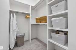 Walk in closet featuring light carpet - 