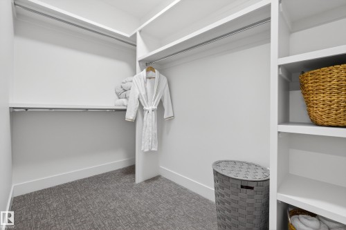 Walk in closet with carpet - 1132 Wahl Place, Edmonton, AB - Indoor With Storage