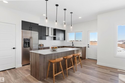 19312 29 Avenue, Edmonton, AB - Indoor Photo Showing Kitchen With Upgraded Kitchen
