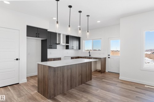 19312 29 Avenue, Edmonton, AB - Indoor Photo Showing Kitchen