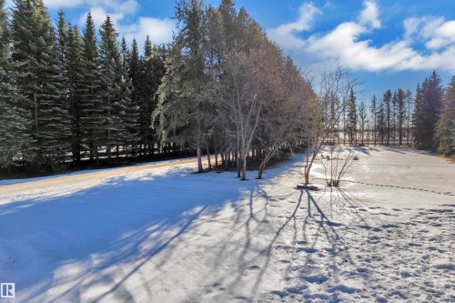 View of snowy yard - 20920 9 Avenue, Edmonton, AB - Outdoor With View