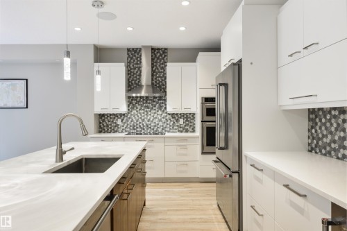5410 110 Street, Edmonton, AB - Indoor Photo Showing Kitchen With Upgraded Kitchen