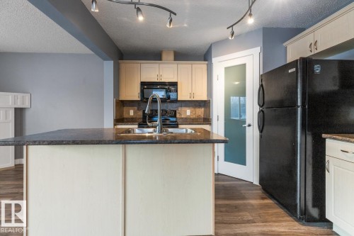 1119 37B Avenue, Edmonton, AB - Indoor Photo Showing Kitchen With Double Sink