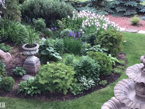 76 Goodridge Drive, St. Albert, AB - Outdoor