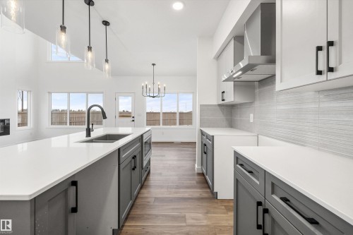 19308 29 Avenue, Edmonton, AB - Indoor Photo Showing Kitchen With Double Sink With Upgraded Kitchen