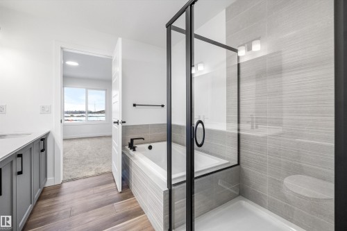 19308 29 Avenue, Edmonton, AB - Indoor Photo Showing Bathroom