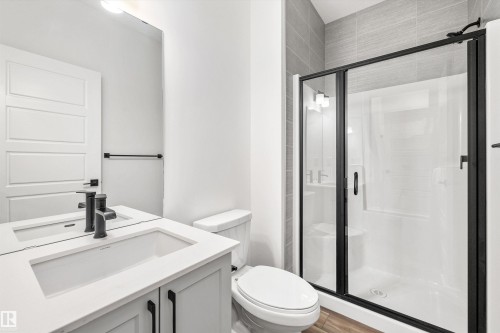 19308 29 Avenue, Edmonton, AB - Indoor Photo Showing Bathroom