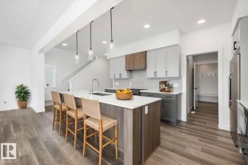 19428 25 Avenue, Edmonton, AB - Indoor Photo Showing Kitchen With Upgraded Kitchen