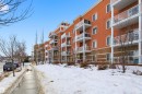 Snow covered building featuring a view of apartment building / complex - 313 263 Macewan Road, Edmonton, AB  - Outdoor With Facade 