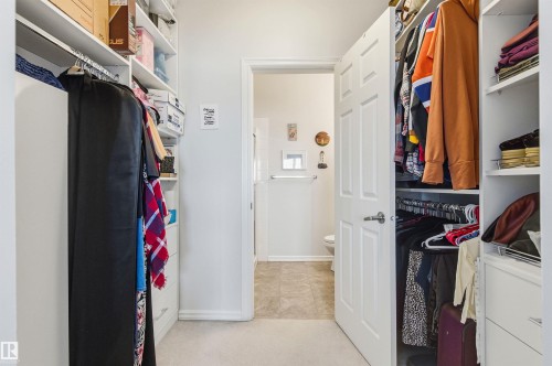Walk in closet with light colored carpet - 313 263 Macewan Road, Edmonton, AB - Indoor With Storage
