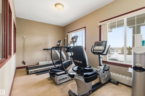 Exercise room featuring a baseboard heating unit - 313 263 Macewan Road, Edmonton, AB - Indoor Photo Showing Gym Room