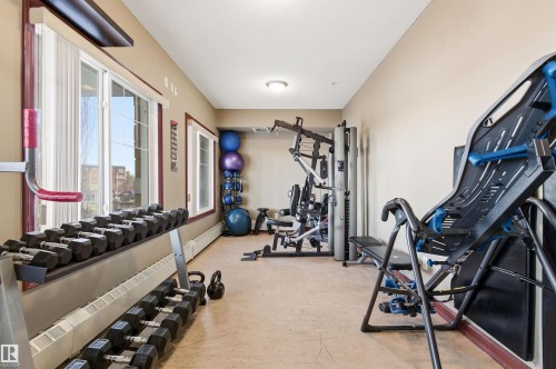 View of workout area - 313 263 Macewan Road, Edmonton, AB - Indoor Photo Showing Gym Room
