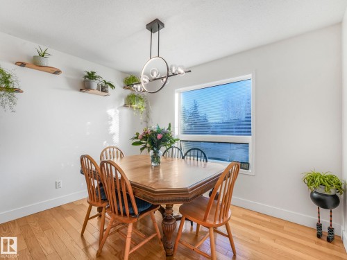 Dining room featuring light wood-style floors and suspended lighting - 61 9520 174 Street, Edmonton, AB - Indoor Photo Showing Dining Room
