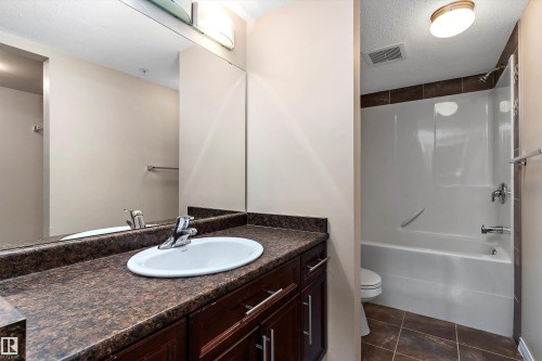317 6925 199 Street, Edmonton, AB - Indoor Photo Showing Bathroom