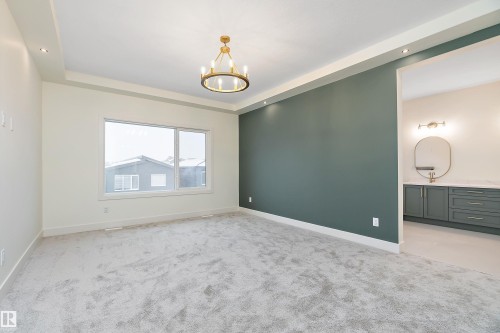 Empty room featuring light carpet, suspended lighting, and a raised ceiling - Edmonton, AB - Indoor Photo Showing Other Room