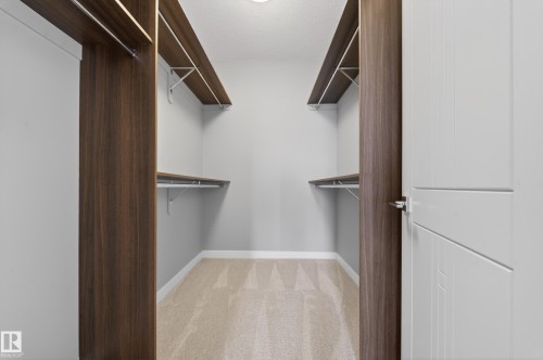 Walk in closet featuring light colored carpet - 416 61 Festival Way, Sherwood Park, AB - Indoor With Storage