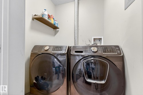357 1196 Hyndman Road, Edmonton, AB - Indoor Photo Showing Laundry Room