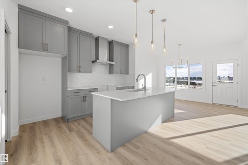 2804 191 Street, Edmonton, AB - Indoor Photo Showing Kitchen With Upgraded Kitchen