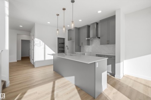 2804 191 Street, Edmonton, AB - Indoor Photo Showing Kitchen With Upgraded Kitchen