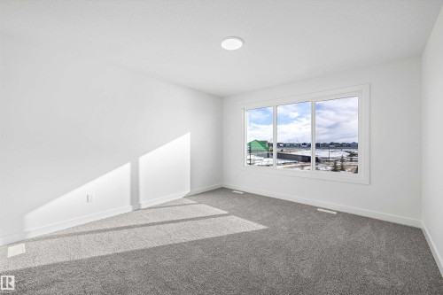 2804 191 Street, Edmonton, AB - Indoor Photo Showing Other Room