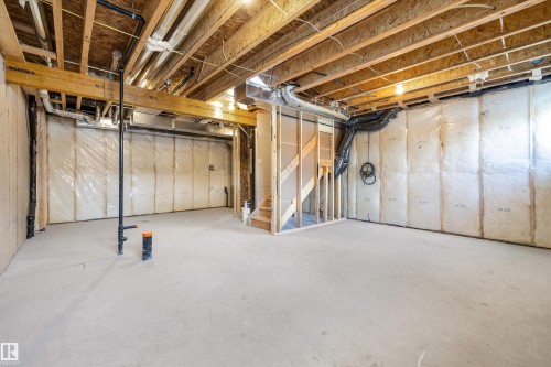 1166 South Creek Wynd, Stony Plain, AB - Indoor Photo Showing Basement