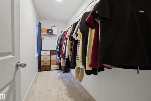 Walk in closet featuring light colored carpet - 9882 225A St Nw, Edmonton, AB - Indoor With Storage