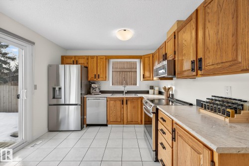 10523 17 Avenue Nw, Edmonton, AB - Indoor Photo Showing Kitchen With Double Sink