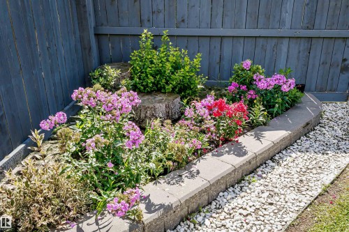 7703 Getty Wynd, Edmonton, AB - Outdoor