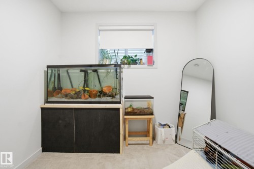 2 - Basement Suite - 2423 194 Street, Edmonton, AB - Indoor